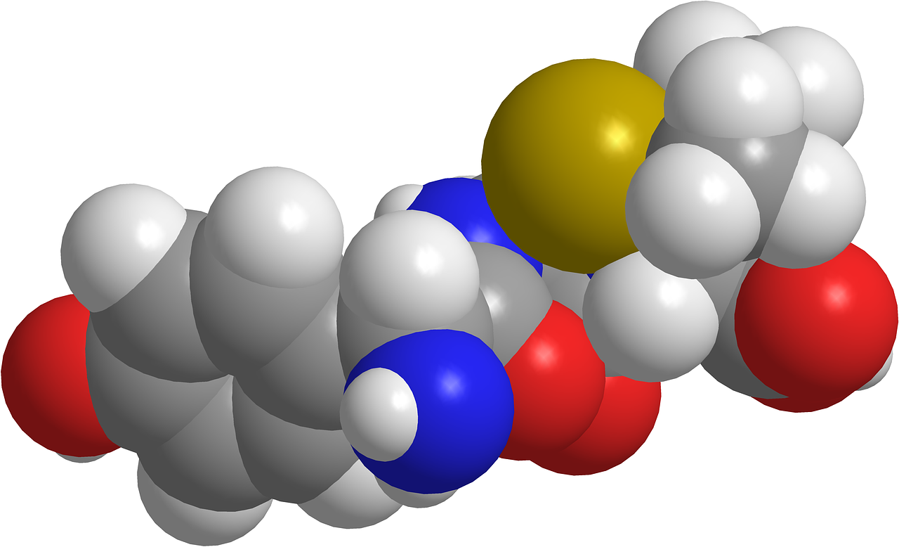 amoxicillin
