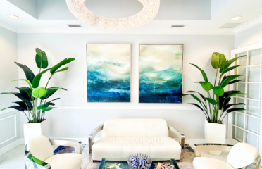 Florida Plastic Surgery and Medspa