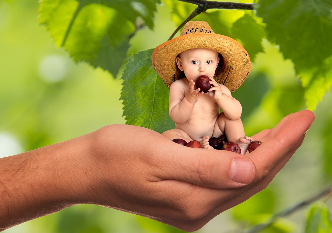 Infant Food