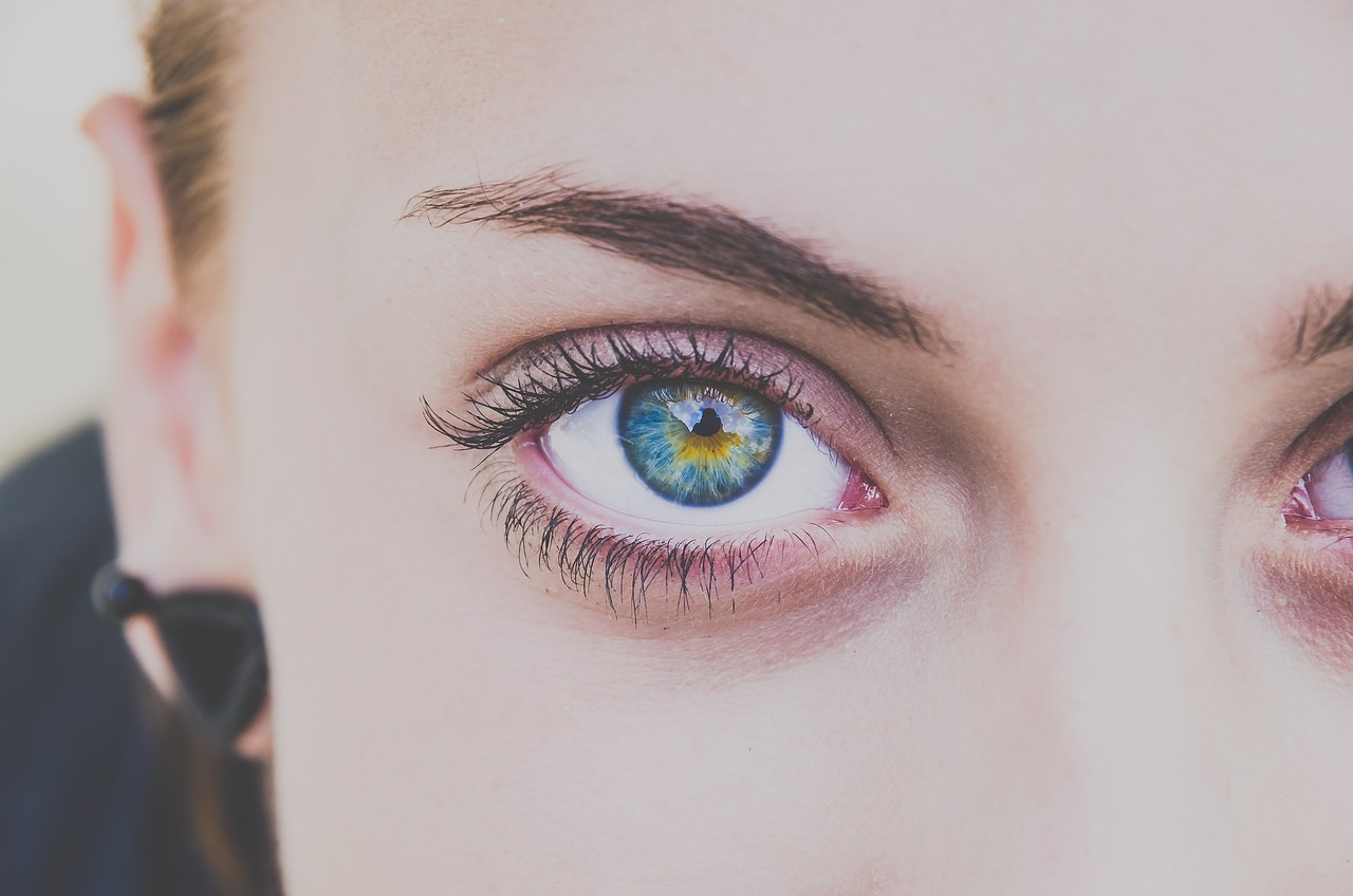 eyebrow roof