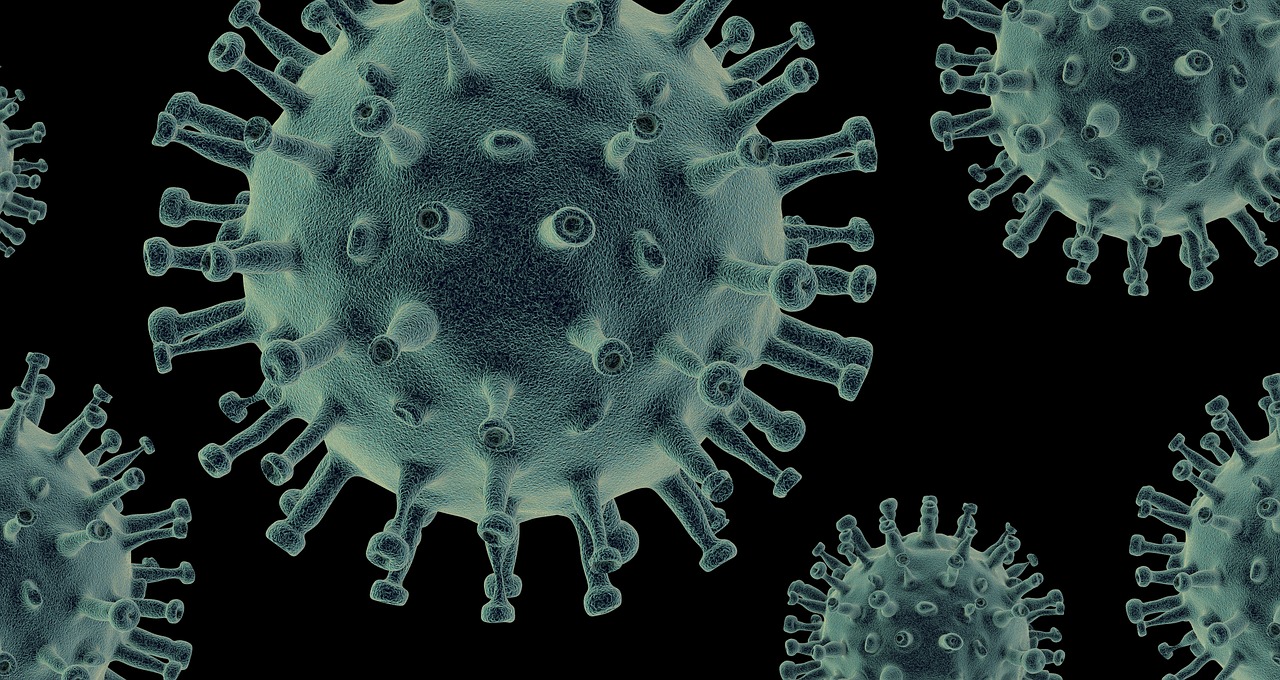 HMPV virus