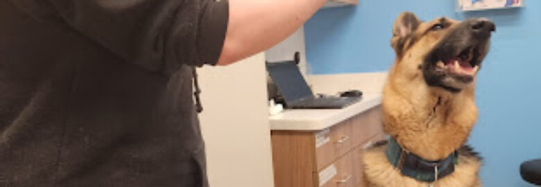 VetCare Animal Hospital