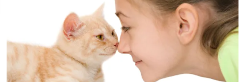 Cat Care Clinic of the Nyacks