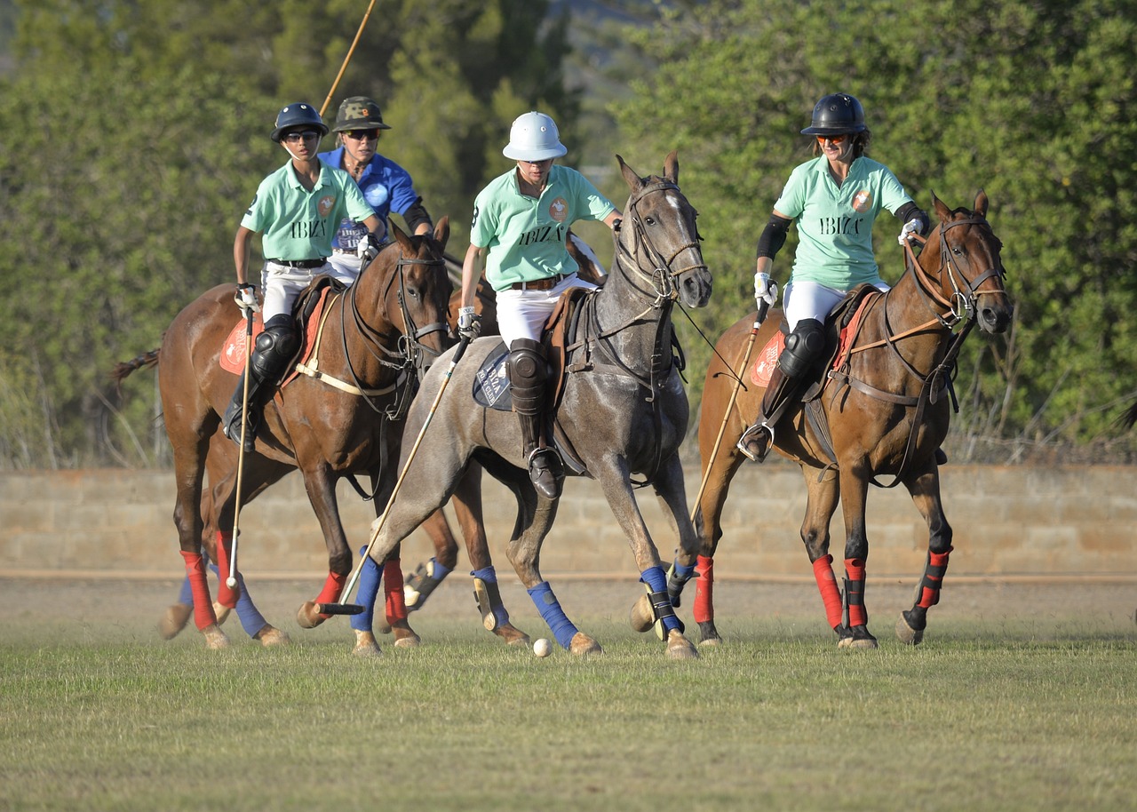 Polo Coach