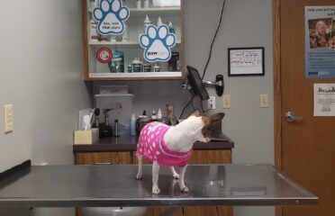 All City Pet Care West