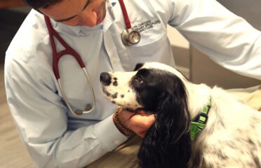 South Carolina Veterinary Specialists and Emergency Care