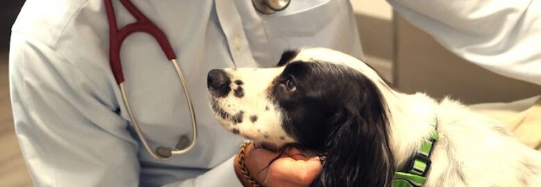 South Carolina Veterinary Specialists and Emergency Care