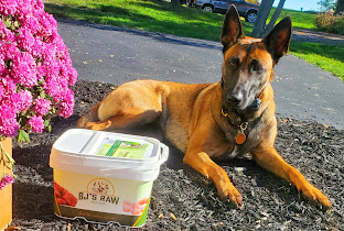 BJ’s Raw Pet Food
