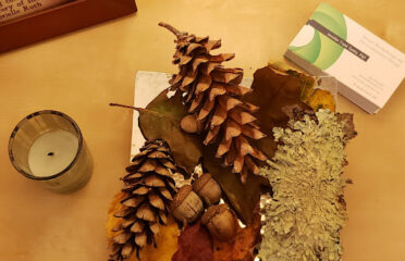 Somatic Psychotherapy: Jennifer Frank Tantia, PhD