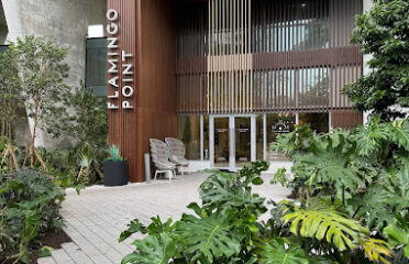 Modern Therapy Group | Counseling And Therapy Miami