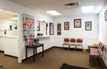 Hands To Guide You Behavioral Health