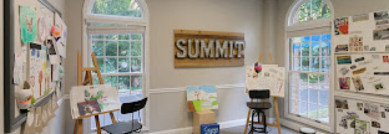 The Summit Wellness Group – Alcohol and Drug Rehab Center