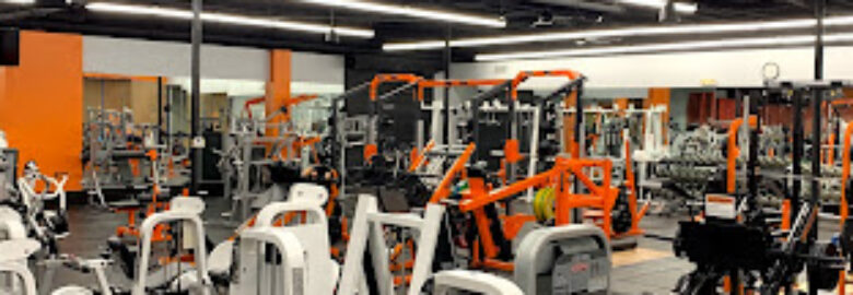 Muscle Factory Gym