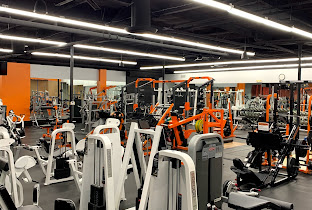 Muscle Factory Gym