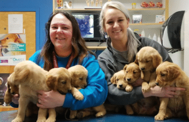 Caldwell Mill Animal Clinic