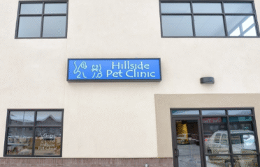 Hillside Pet Clinic