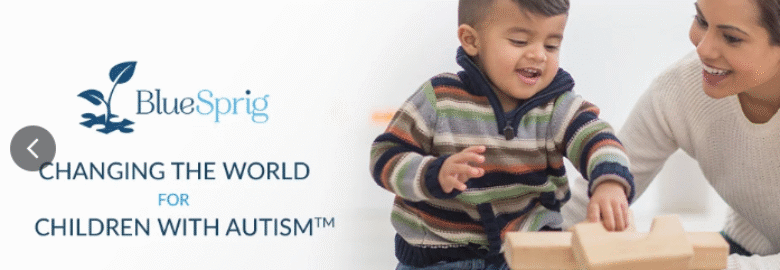 Florida Autism Center Westchase, a division of BlueSprig