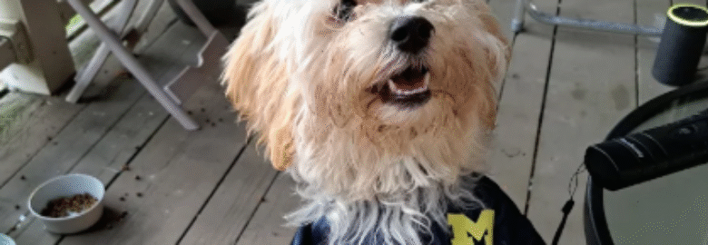 Animal Medical Center of Wyoming