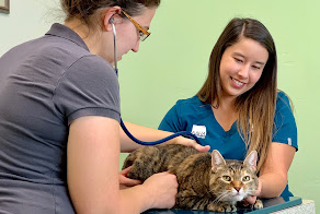 Idaho Veterinary Hospital