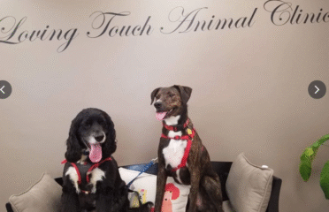 Loving Touch Animal Clinic