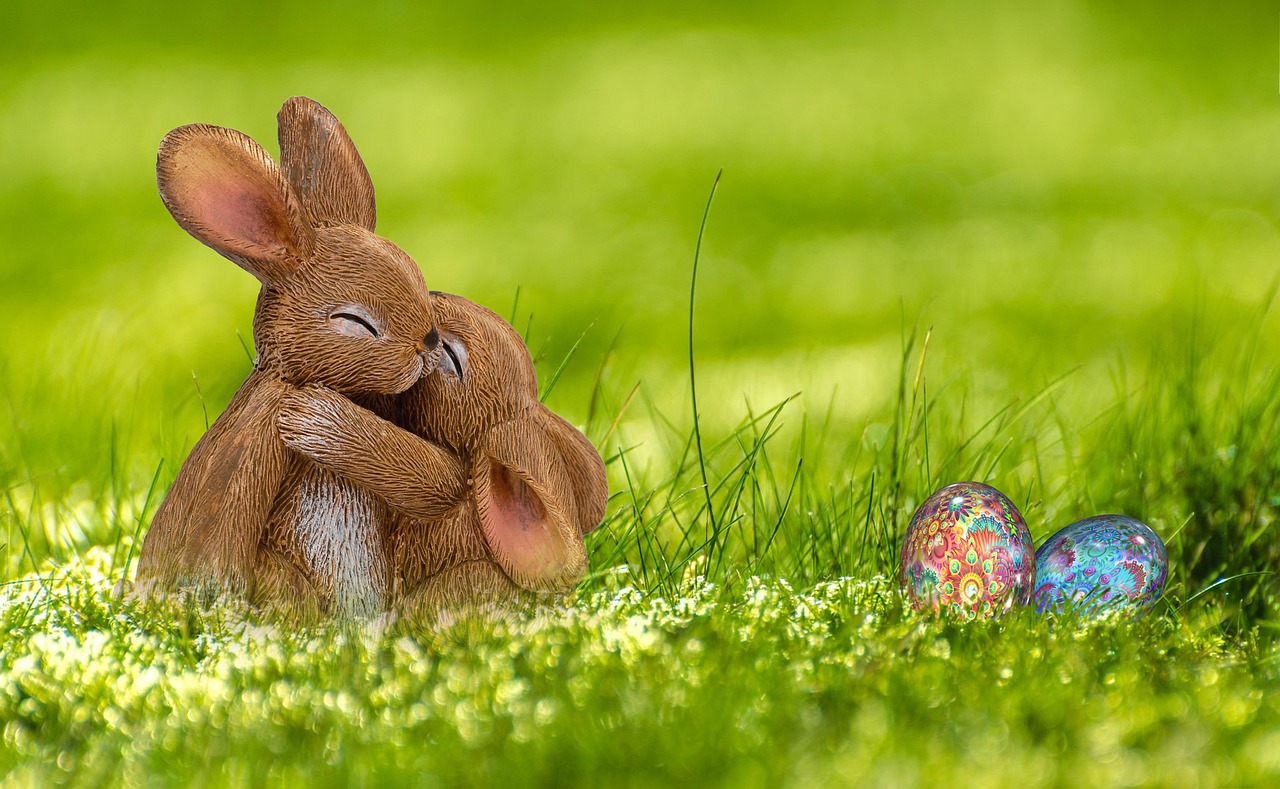 Rabbit Foster Care