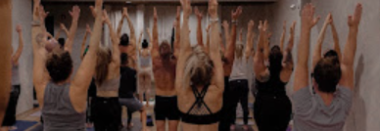 REWILD YOGA